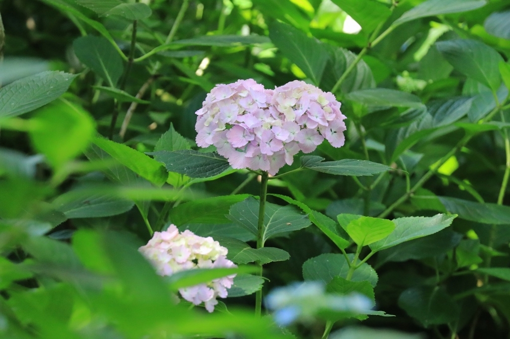 f:id:toonii:20180617125514j:plain