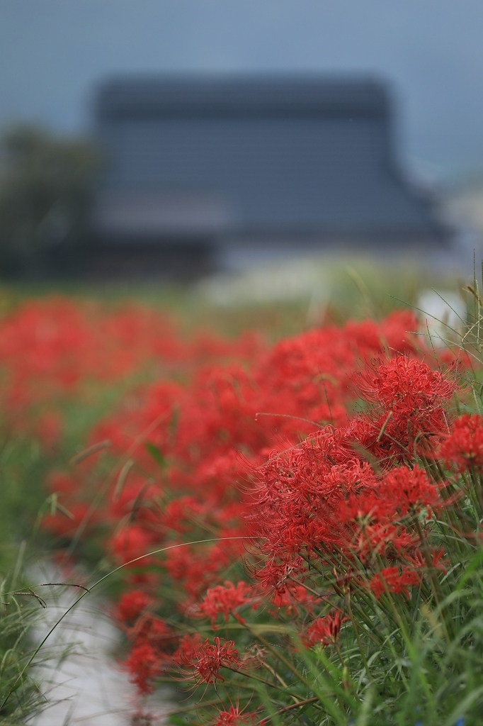 f:id:toonii:20180924124817j:plain