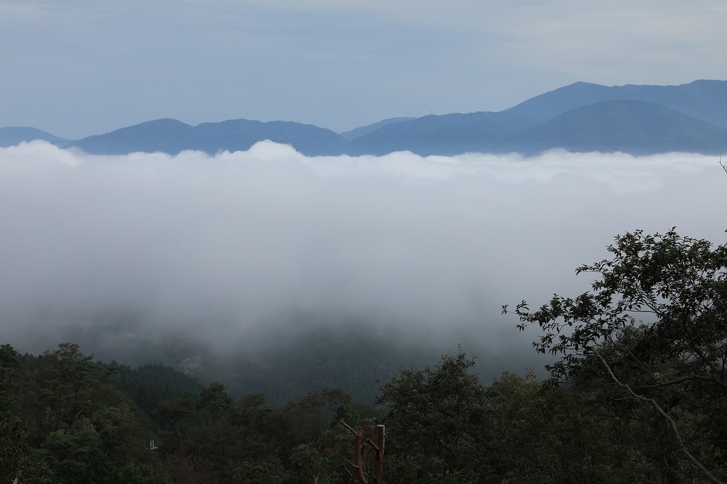 f:id:toonii:20180924131554j:plain