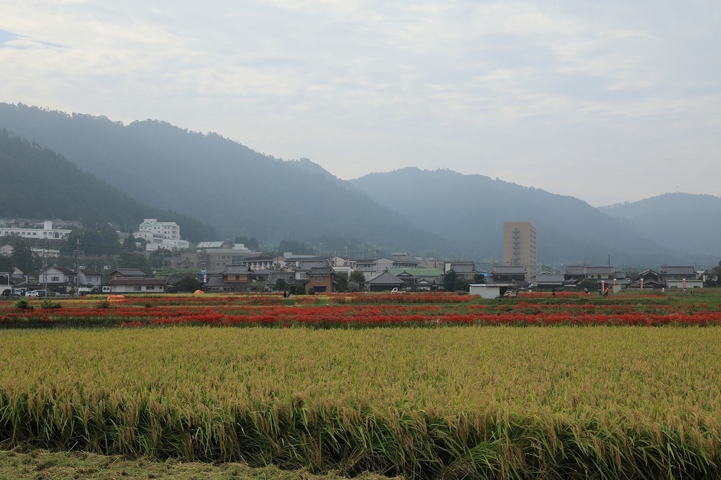 f:id:toonii:20180924132016j:plain