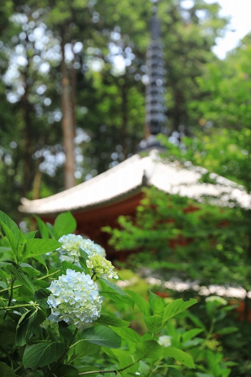 f:id:toonii:20190619142023j:plain