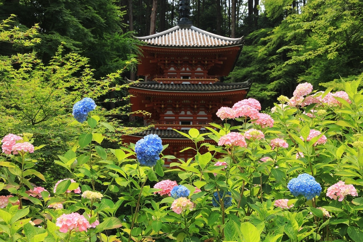 f:id:toonii:20190619143939j:plain