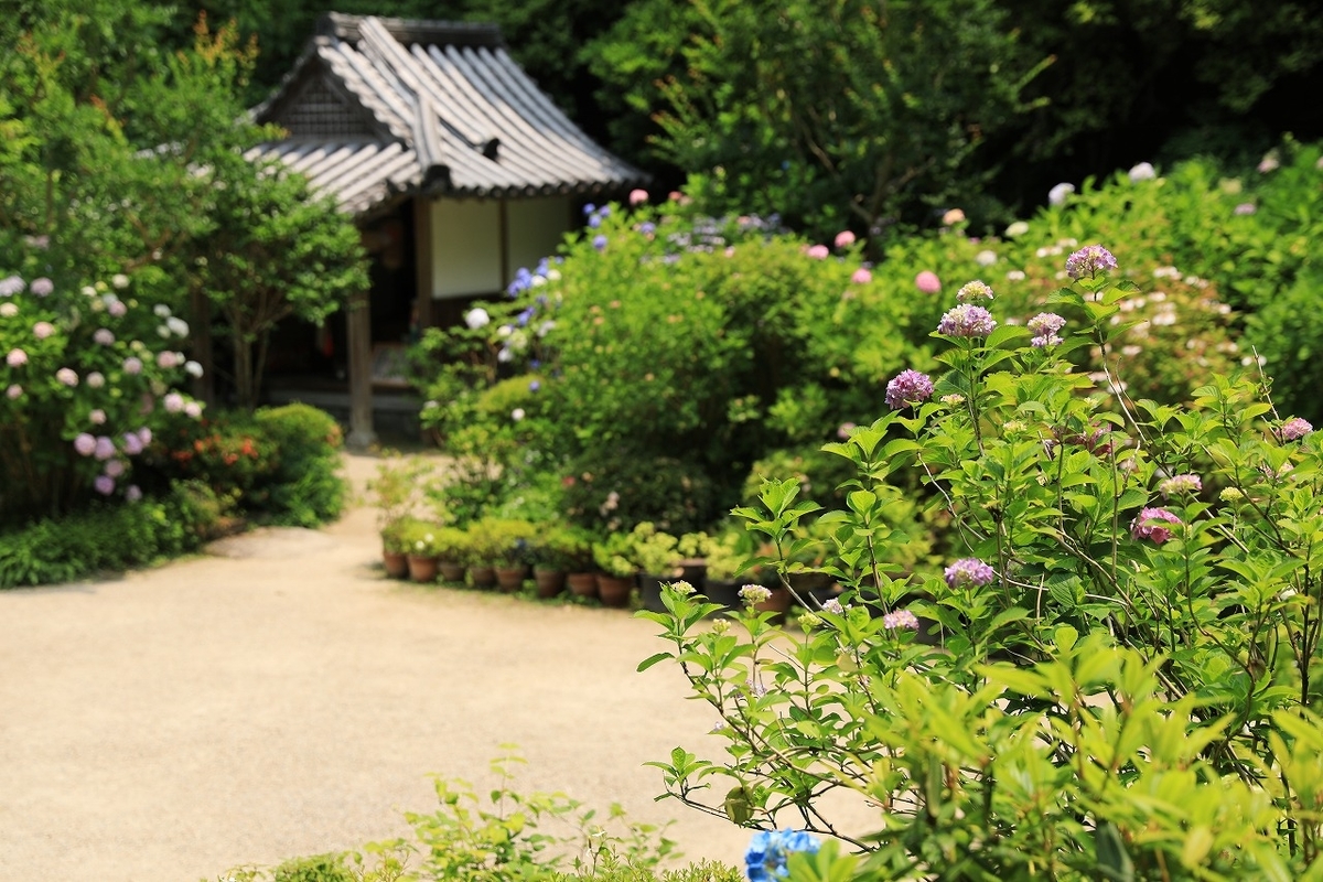f:id:toonii:20190619143958j:plain