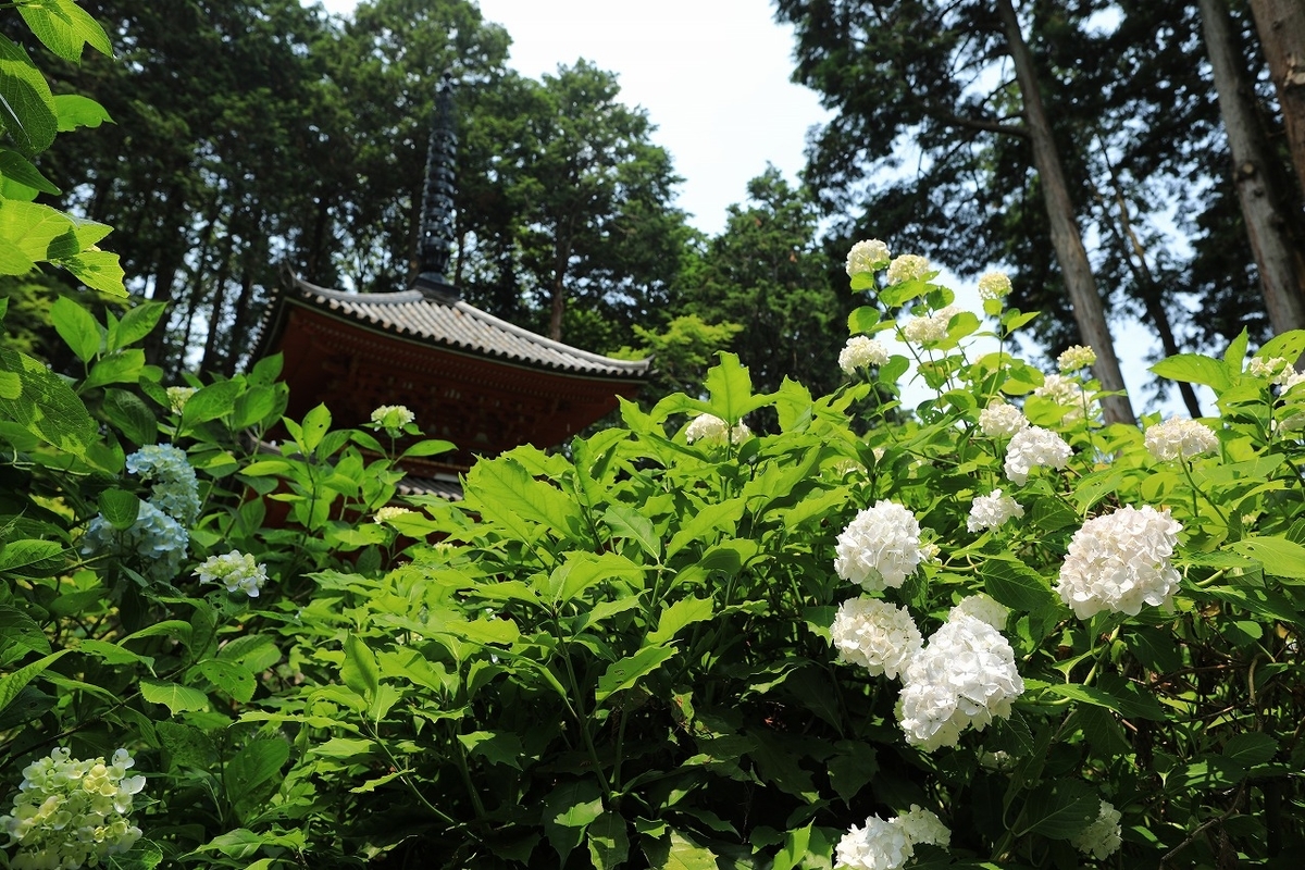 f:id:toonii:20190619144241j:plain