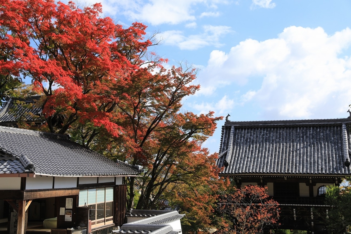 f:id:toonii:20191112132438j:plain