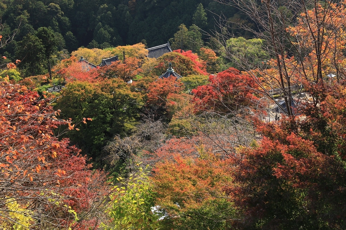 f:id:toonii:20191112132951j:plain