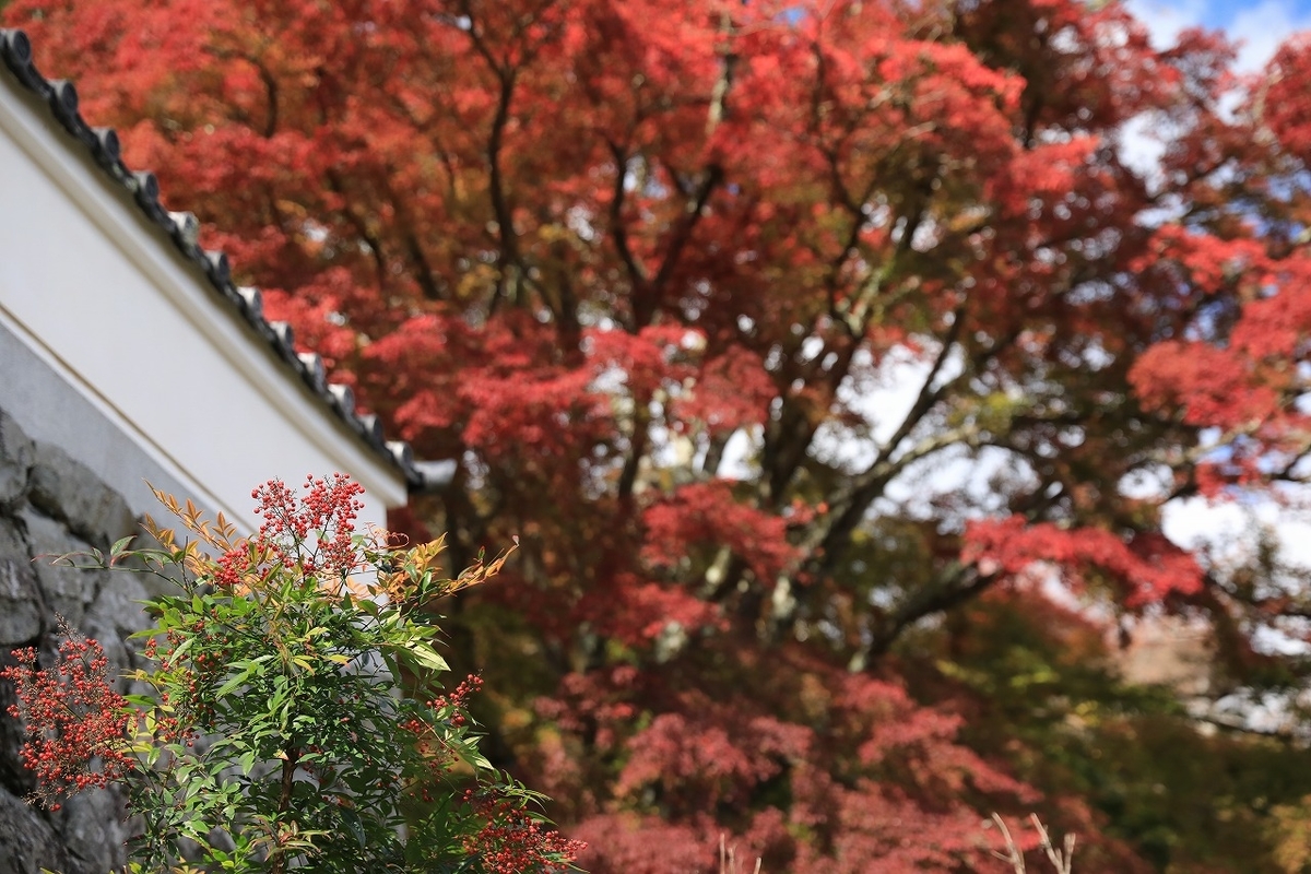 f:id:toonii:20191112133006j:plain