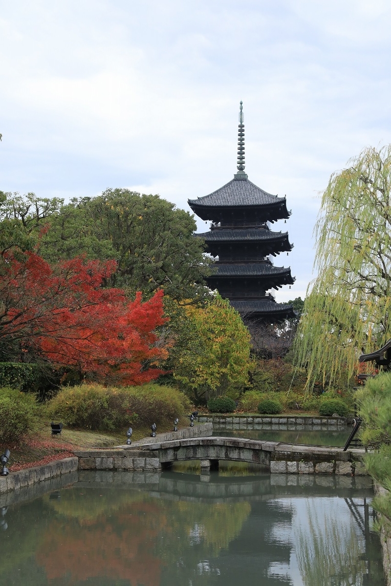京都「東寺」紅葉 2022 - tooniiの写真日記