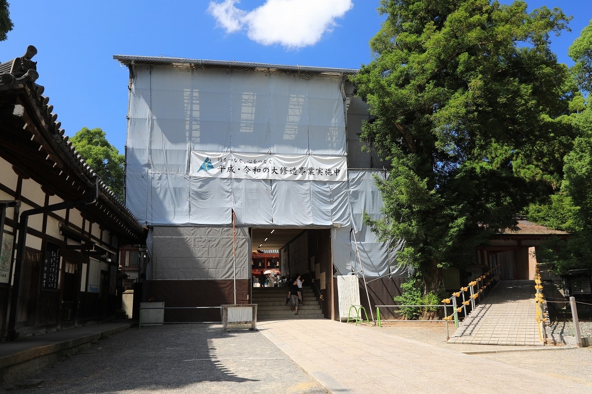 京都「石清水八幡宮」楠とおがたまの木 2024 - tooniiの写真日記