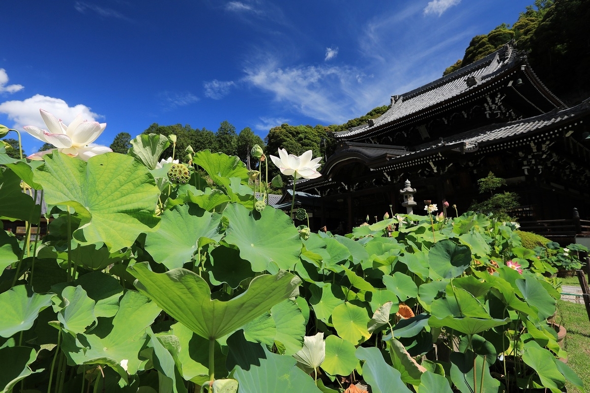 花蓮ページ １２点 タカショー | 12Vトランス 独立柱タイプ【2024年版】 | 建材サーチ