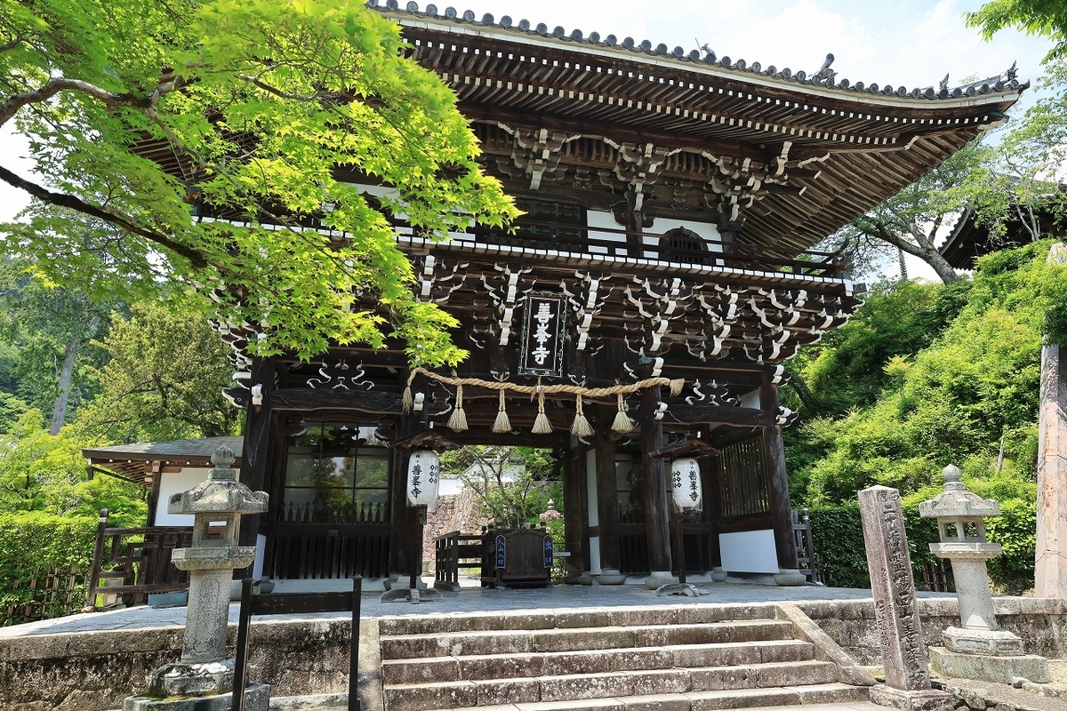 京都西山「善峯寺」紫陽花 2026 - tooniiの写真日記