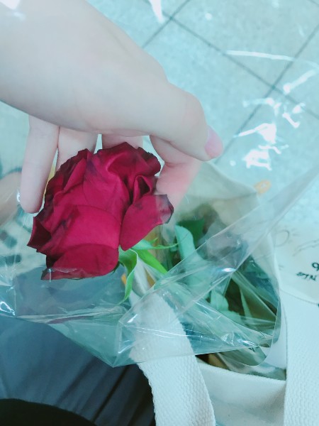 f:id:toooooooru23usisi:20180621221534j:image f:id:toooooooru23usisi:20180621221534j:image