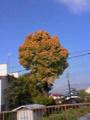 moeki2007