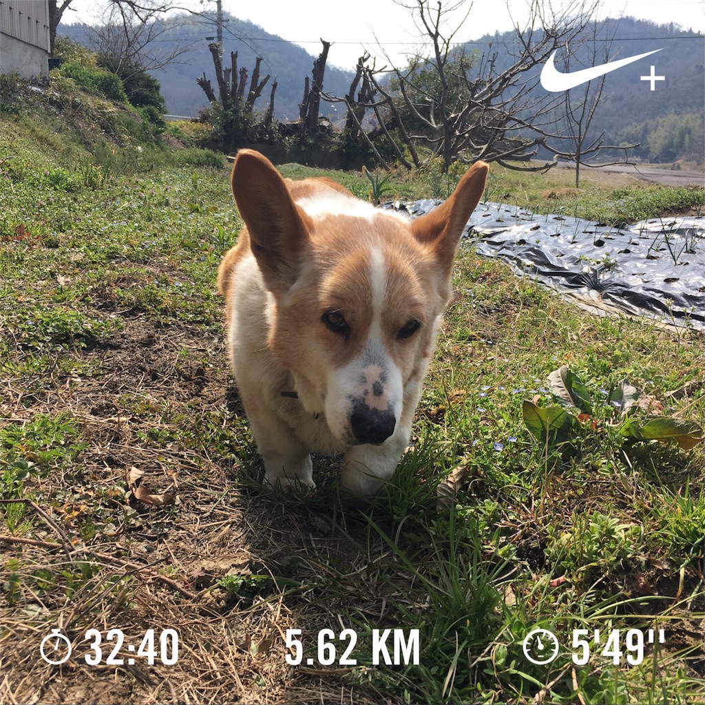 f:id:tooru0110:20180324055407j:image f:id:tooru0110:20180324055407j:image