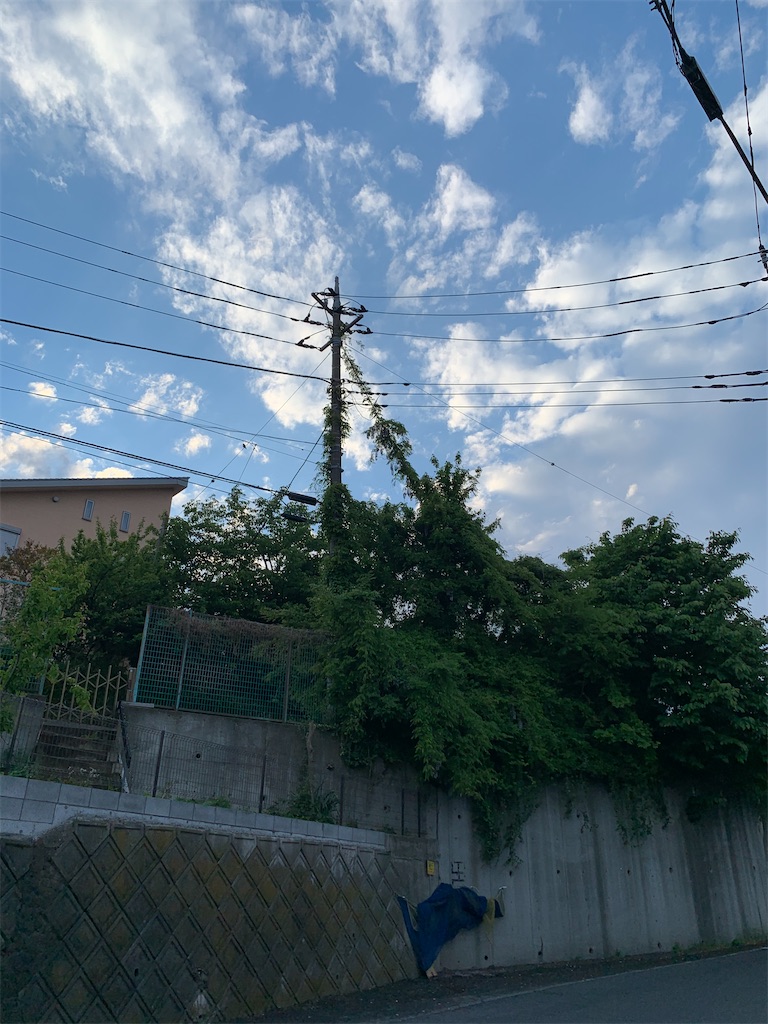 f:id:topako:20210510194217j:image