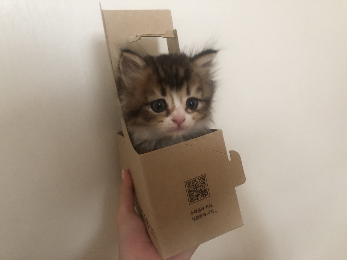 コーヒーホルダー,猫