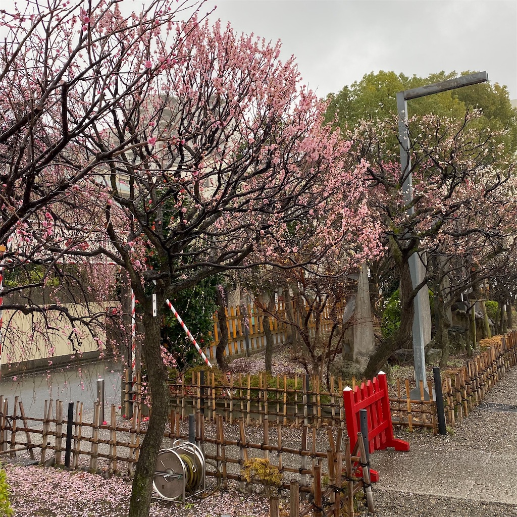 f:id:toppass_funabori:20240221132312j:image