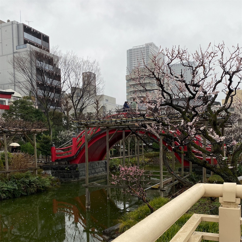 f:id:toppass_funabori:20240221132317j:image