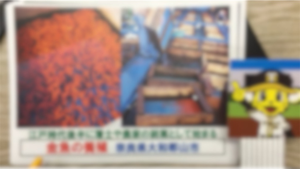 f:id:toppass_funabori:20250717235737j:image