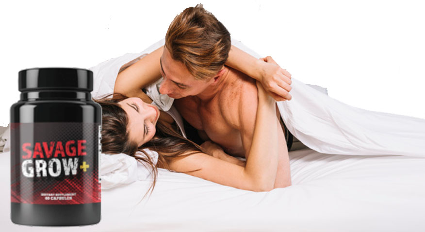 f:id:topsuppliment:20201222143347j:plain