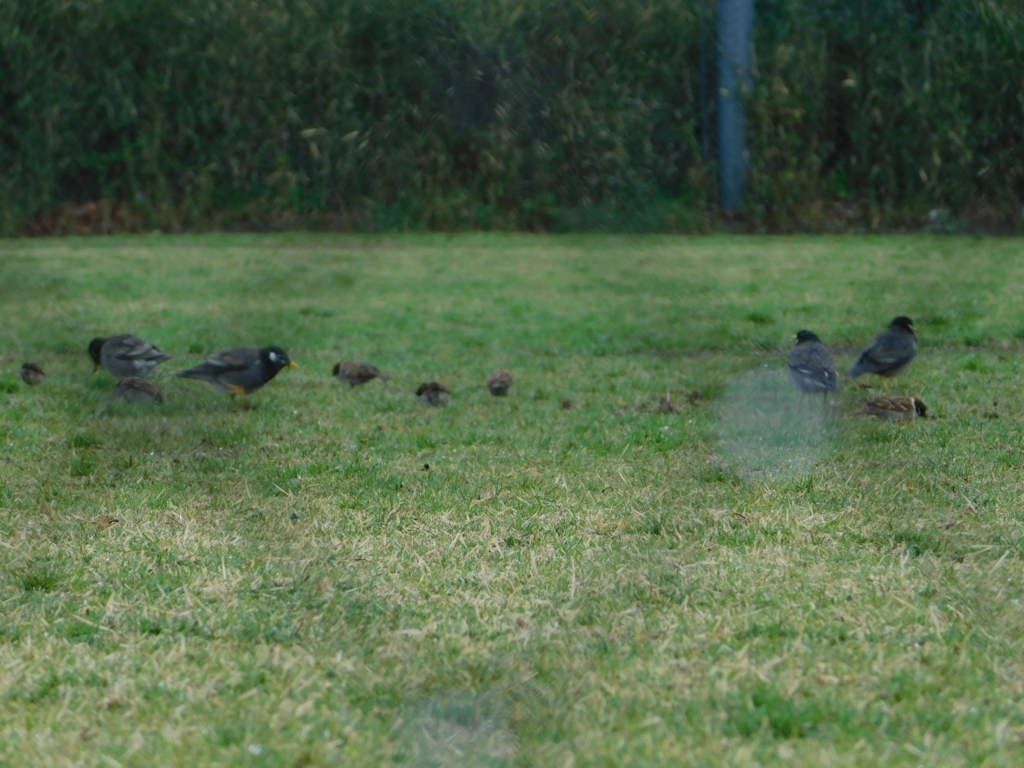 f:id:topvalue:20180321170755j:plain f:id:topvalue:20180321170755j:plain