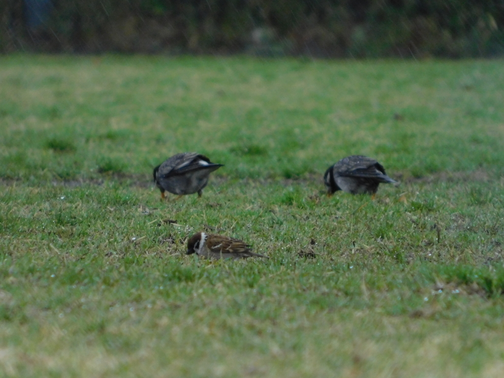 f:id:topvalue:20180321170822j:plain f:id:topvalue:20180321170822j:plain