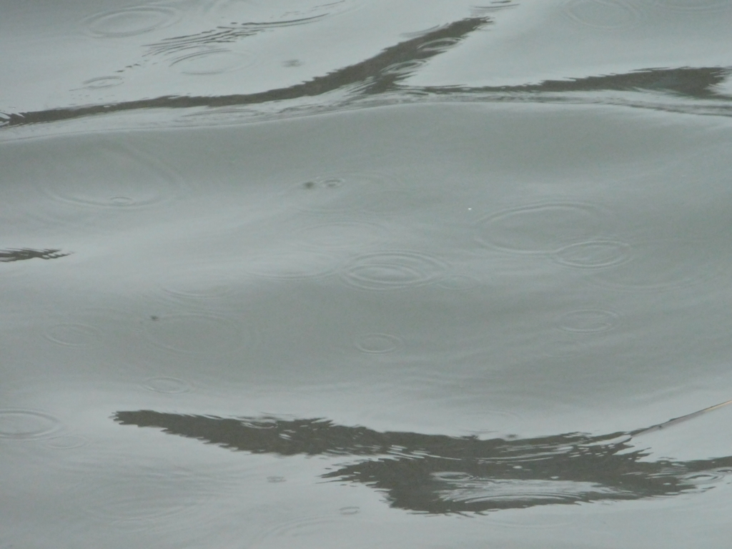 f:id:topvalue:20180321171418j:plain f:id:topvalue:20180321171418j:plain