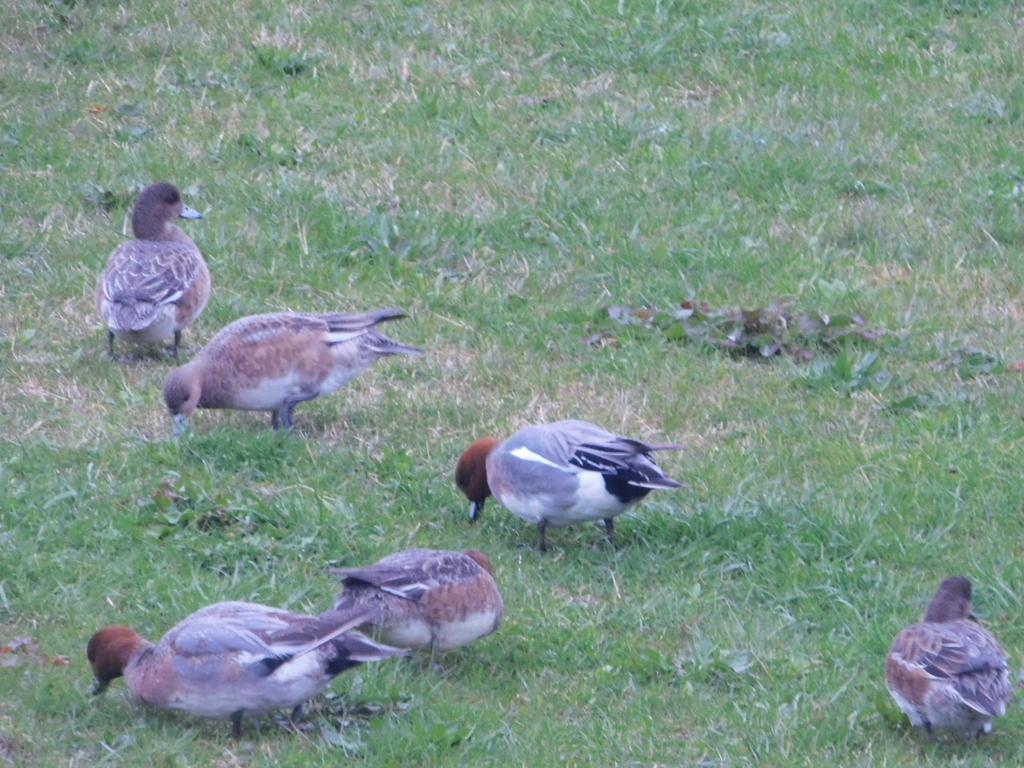 f:id:topvalue:20180321171620j:plain f:id:topvalue:20180321171620j:plain