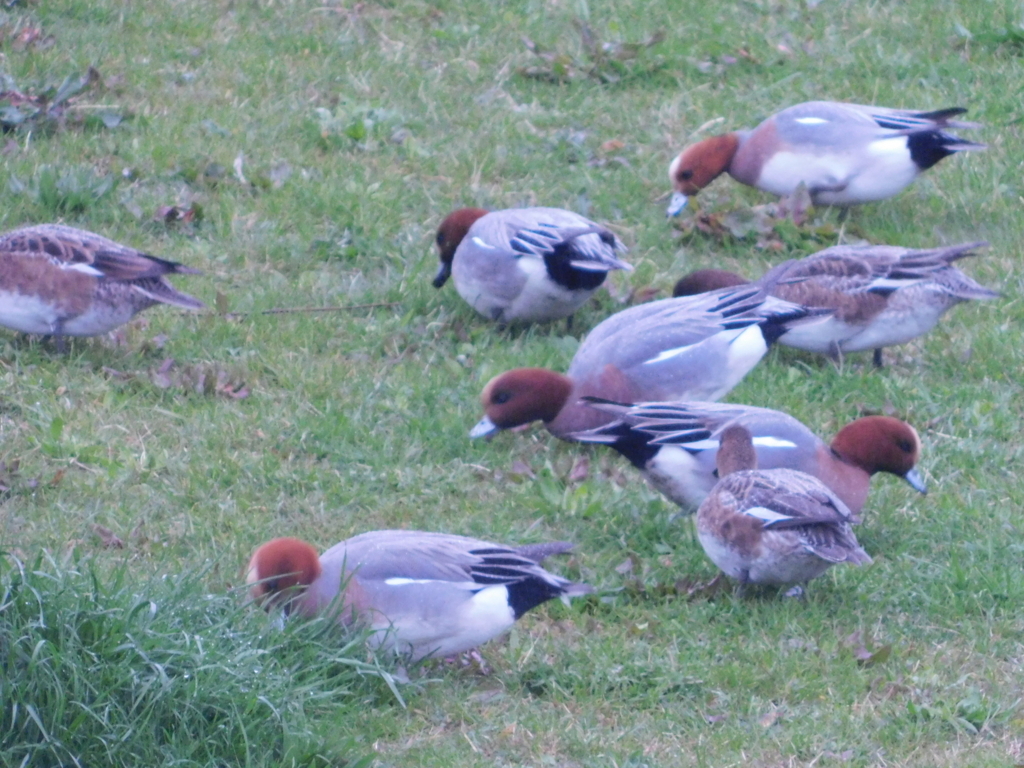 f:id:topvalue:20180321171755j:plain f:id:topvalue:20180321171755j:plain