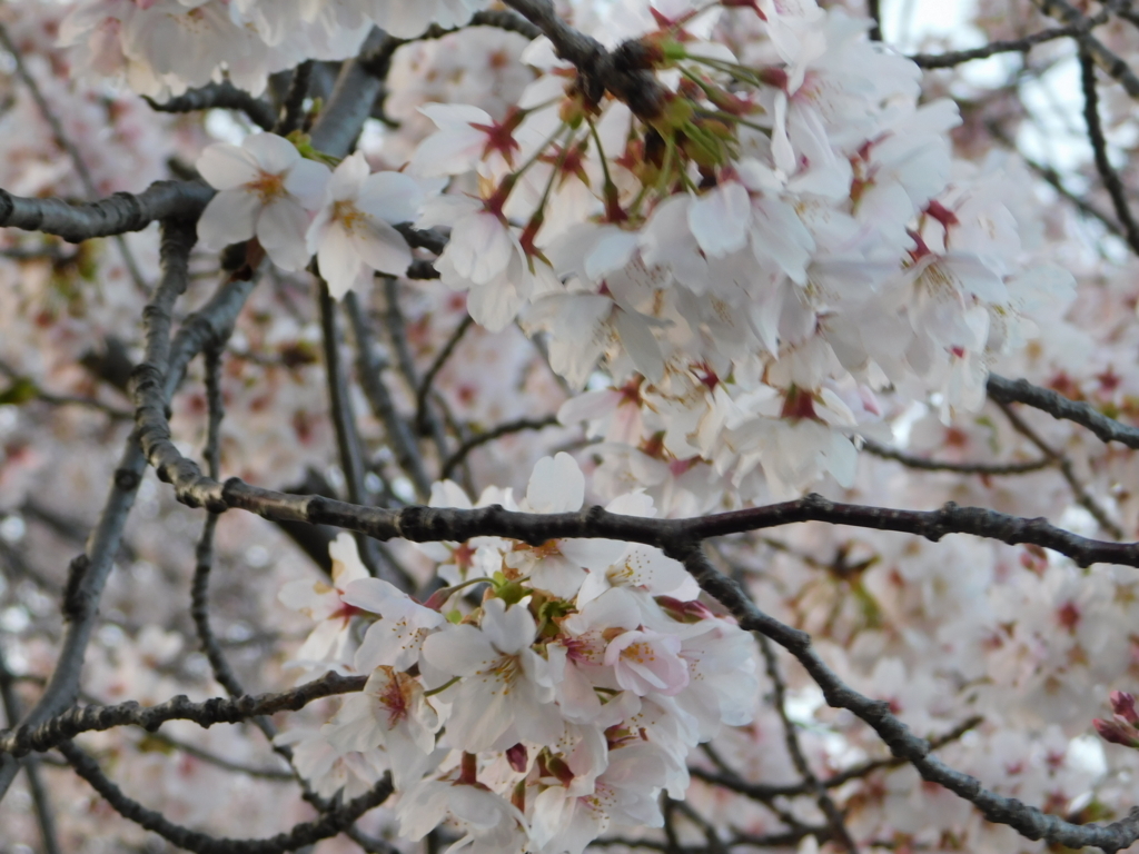 f:id:topvalue:20180401163808j:plain f:id:topvalue:20180401163808j:plain