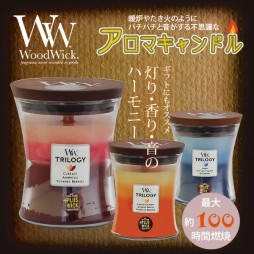 f:id:toqpon:20160411160949j:image f:id:toqpon:20160411160949j:image
