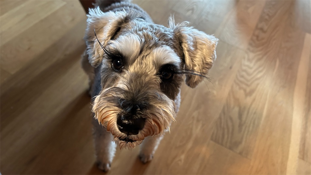 f:id:tor676:20251228100042j:image