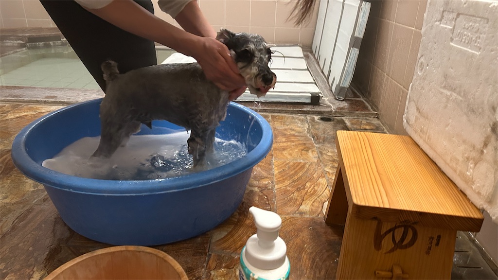 f:id:tor676:20251228100045j:image