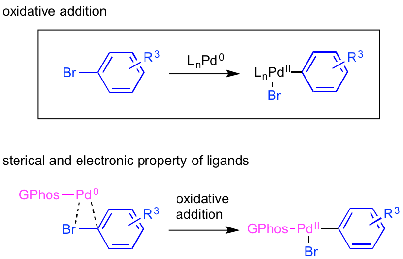 Buchwald-Hartwig-2