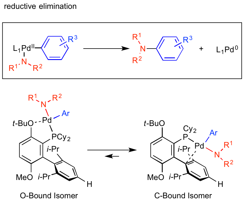 Buchwald-Hartwig-4