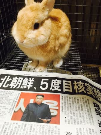 米原万里著「ガセネッタ＆シモネッタ」を読む～同時通訳稼業の裏話