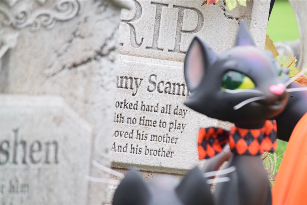 f:id:tora603:20180928224609j:image