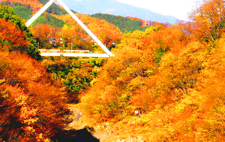 わたらせ渓谷鐵道上州紅葉散歩ツアー 500万球フラワーファンタジーも トラベルーダ