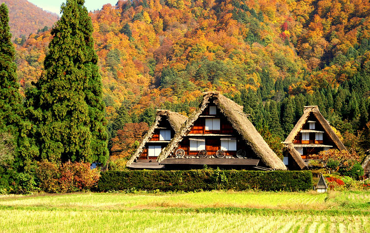 f:id:toraberuuda:20211009124759j:plain