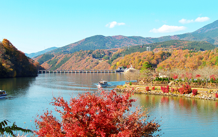 f:id:toraberuuda:20211009124830j:plain