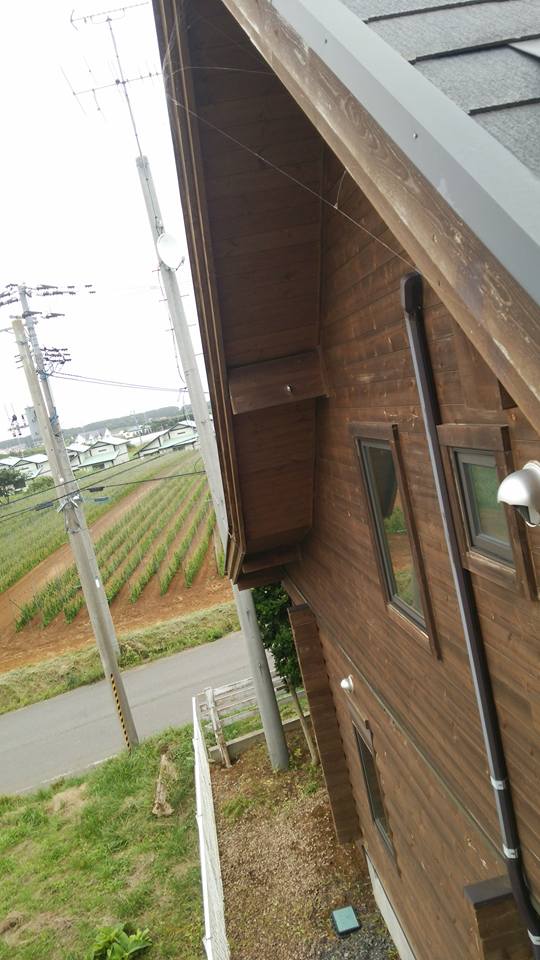 f:id:torabocchin:20160819204816j:plain f:id:torabocchin:20160819204816j:plain