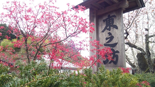 f:id:torabocchin:20170430153501j:plain f:id:torabocchin:20170430153501j:plain