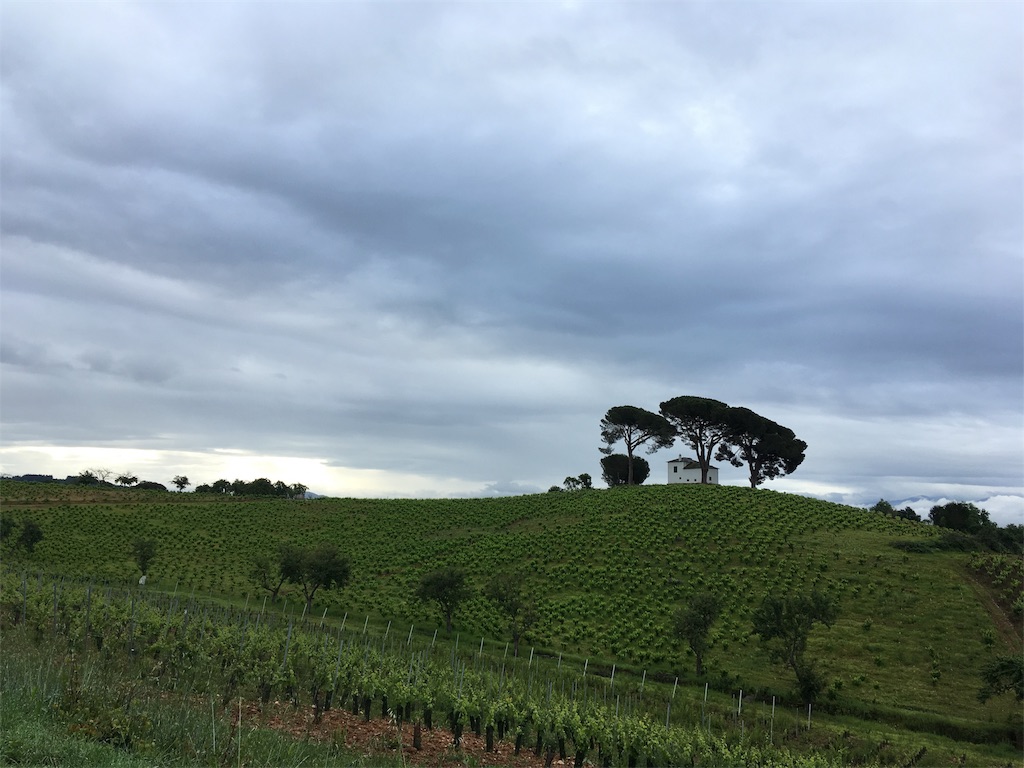 カミーノ巡礼。30日目(カカベロス→ベガ・デ・バルカルセ) カミーノ巡礼。トラオンナタビ。