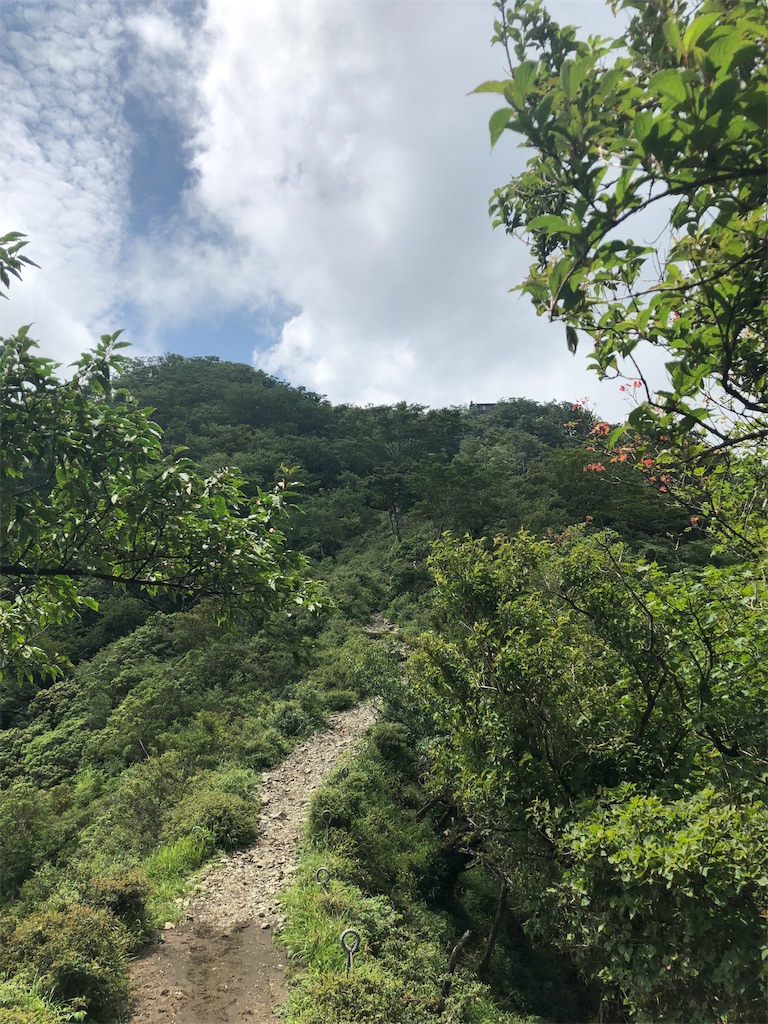 f:id:toracamino:20190825235752j:image f:id:toracamino:20190825235752j:image