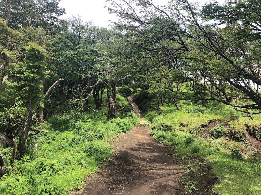 f:id:toracamino:20190825235814j:image f:id:toracamino:20190825235814j:image