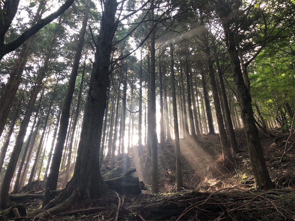 f:id:toracamino:20190825235836j:image f:id:toracamino:20190825235836j:image