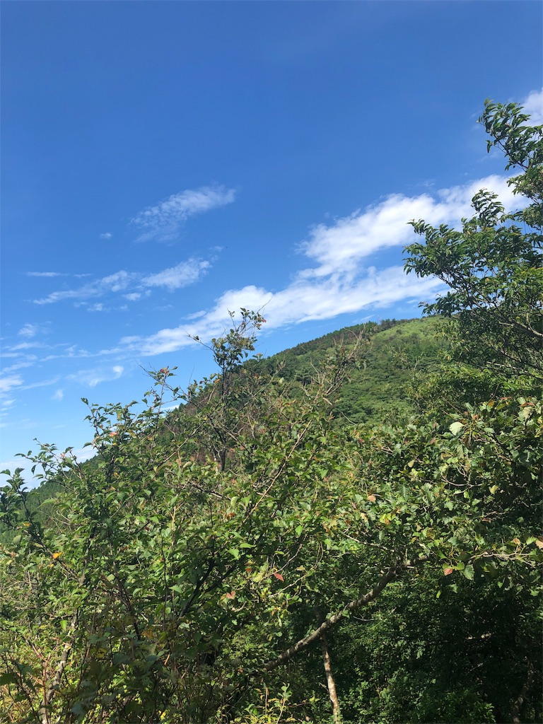 f:id:toracamino:20190825235943j:image f:id:toracamino:20190825235943j:image