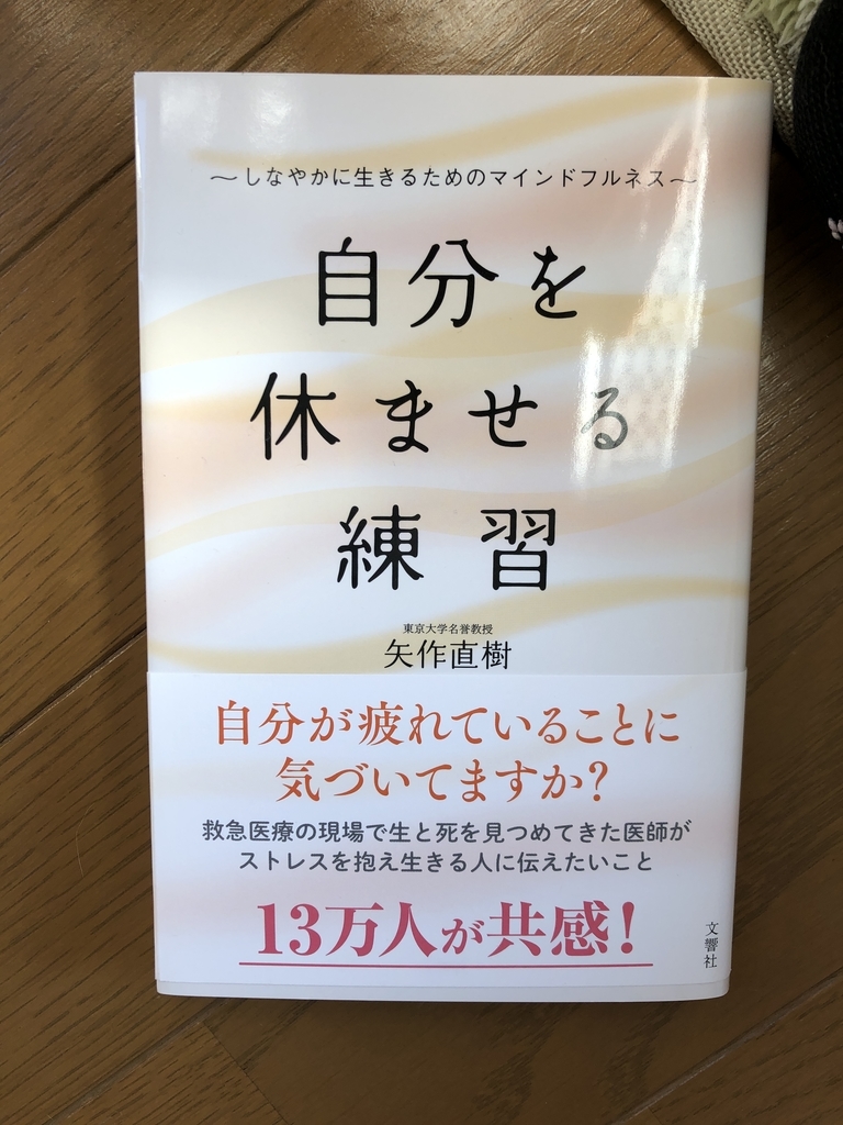 休職中の私と猫の地味ライフ