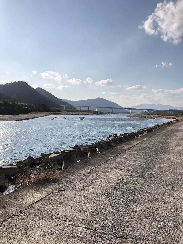 f:id:torachiii:20190106153026j:plain