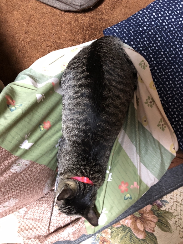 f:id:torachiii:20190107162812j:plain